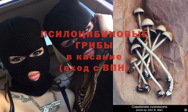 а пвп мука Аркадак