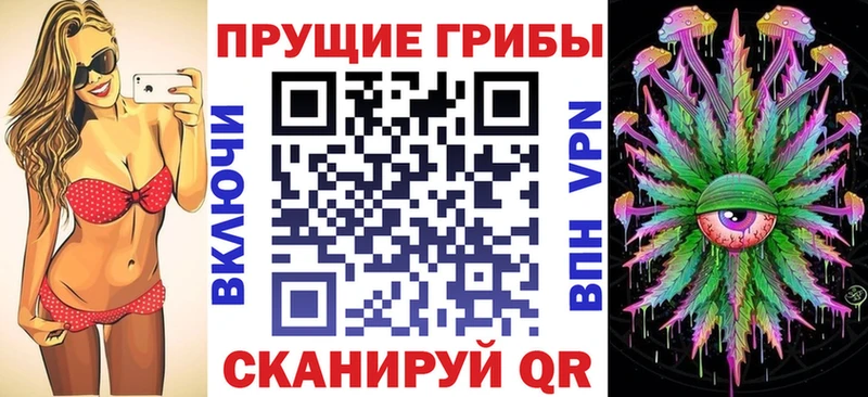 Псилоцибиновые грибы ЛСД купить наркотики сайты Менделеевск